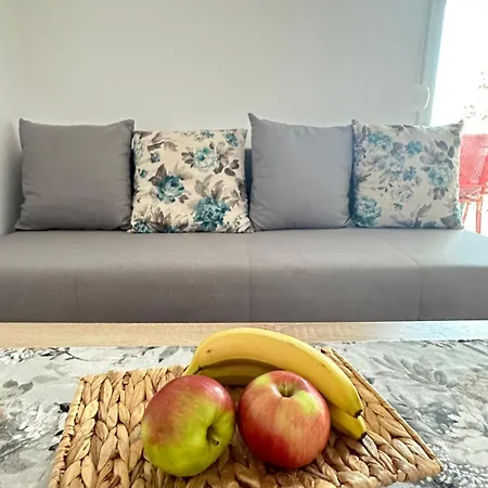 Apartment Milica Roing *