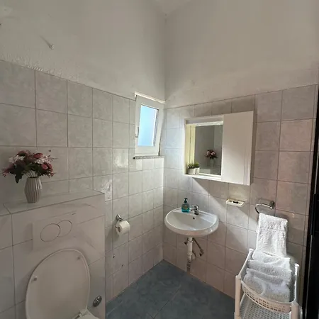 Apartment Milica Roing *
