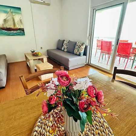Milica Roing Apartment *